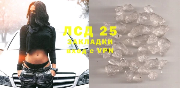 гидра Богданович