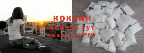 mdpv Богородск