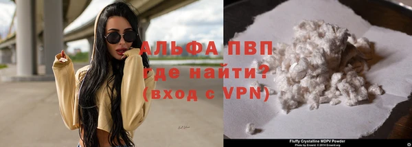 гидра Богданович
