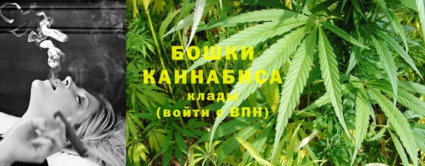 mdpv Богородск