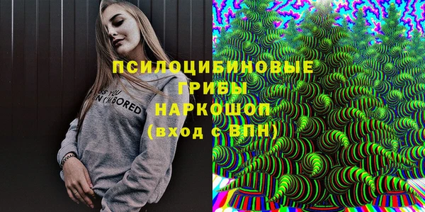 экстази Богородицк