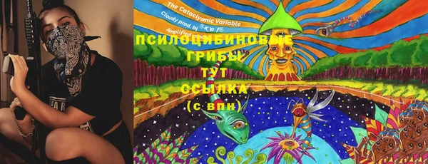 гидра Богданович