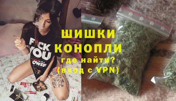гидра Богданович