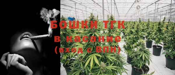 экстази Богородицк