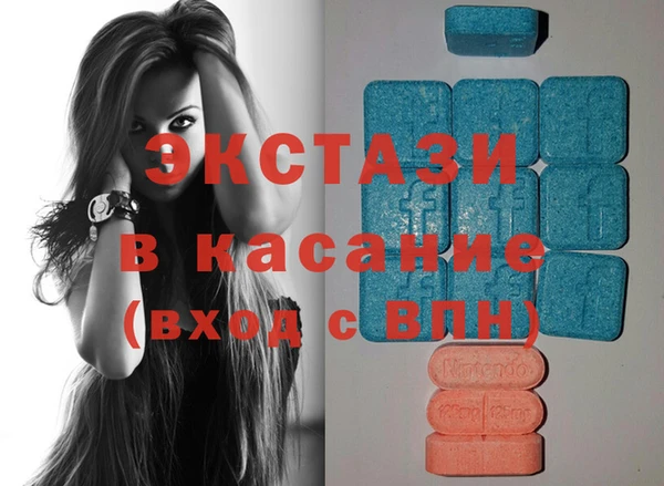 гидра Богданович