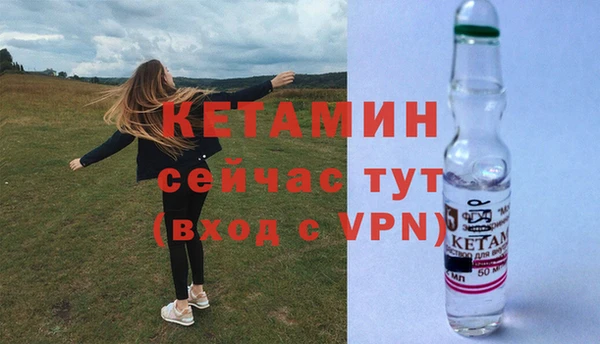гидра Богданович