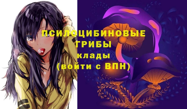 гидра Богданович