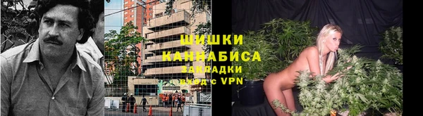 экстази Богородицк