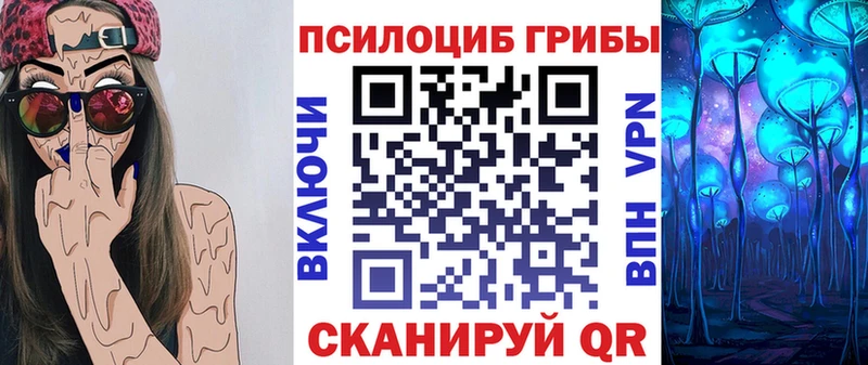 Купить где  Новохопёрск  Галлюциногенные грибы прущие грибы 